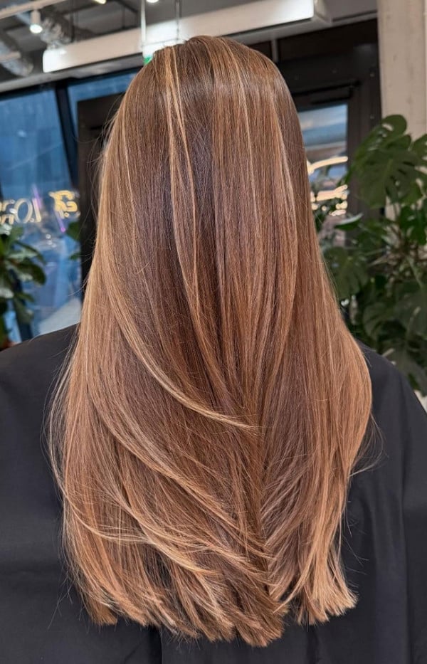 Medium Brown With Woven Honey Blonde Medium Brown With Woven Honey Blonde — Classy Honey Highlights