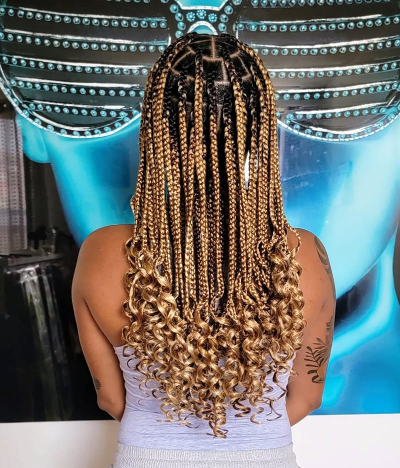 Collarbone Dark Brown Knotless Braids Blonde Highlights Collarbone Dark Brown Knotless Braids Blonde Highlights — Classy Knotless Braids
