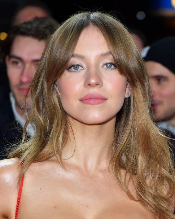 Collarbone Layers With Prominent Curtain Bangs — Classy Light Brown Hair with Blonde