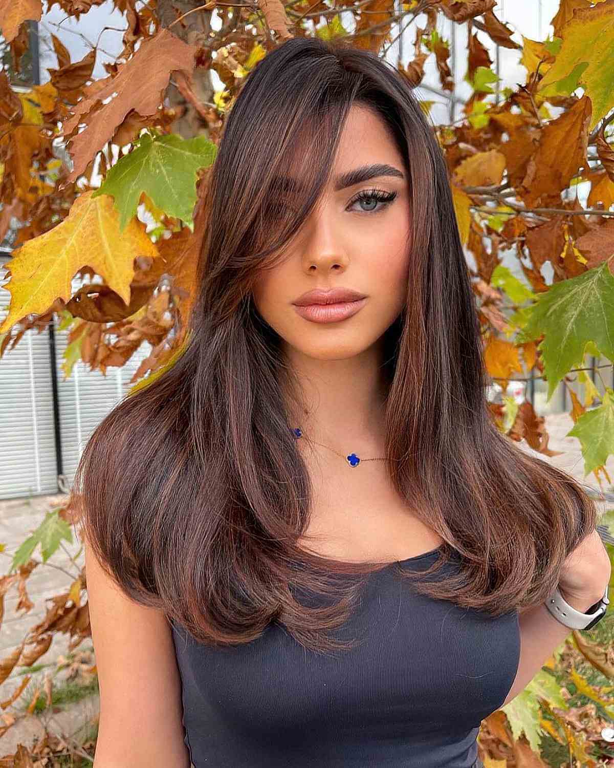Collarbone Dark Brown With Caramel Highlights — Classy Long Haircuts