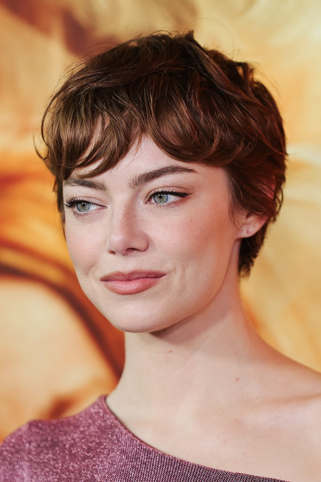 Tousled Brown Pixie with Curtain Bangs Tousled Brown Pixie with Curtain Bangs — Classy Long Pixie