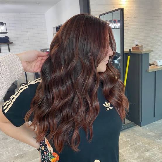 Mahogany Mid-Back Layers With Curtain Bangs And Blowout Mahogany Mid-Back Layers With Curtain Bangs And Blowout — Classy Mahogany Hair