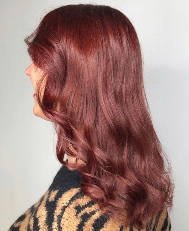 Shoulder Length Layers With Wispy Bangs In Rich Mahogany Shoulder Length Layers With Wispy Bangs In Rich Mahogany — Classy Mahogany Hair