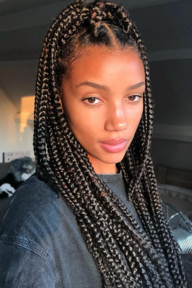 Textured Collarbone Box Braids Subtle Highlights Textured Collarbone Box Braids Subtle Highlights — Classy Medium Braids