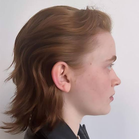 Reddish-Brown Layered Mullet With Soft Ends Reddish-Brown Layered Mullet With Soft Ends — Classy Mullet Hair