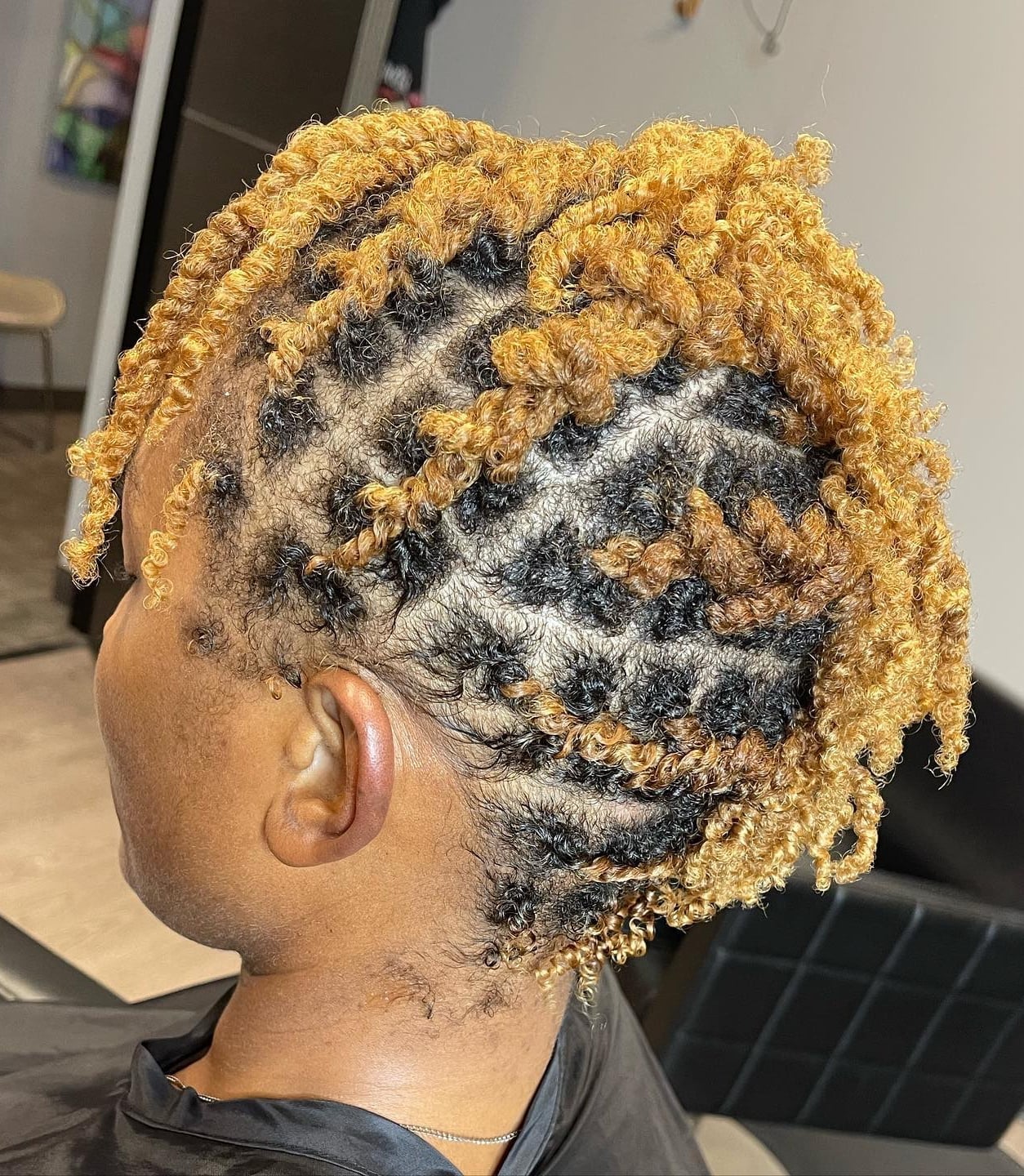 Mid-Back Neat Two-Strand Twists — Classy Natural Hair Twists