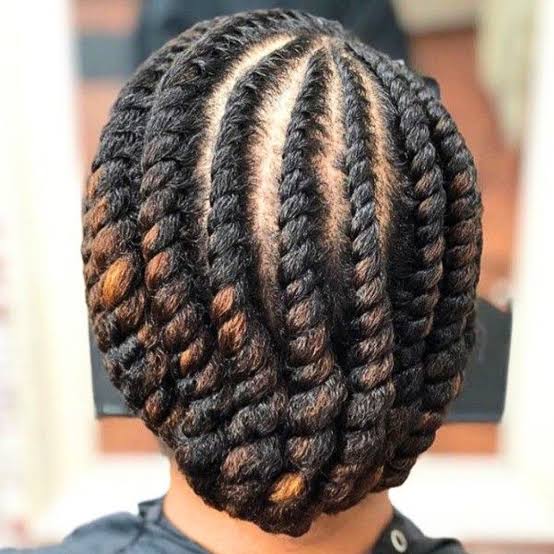 Collarbone Rounded Flat Twists — Classy Natural Hair Twists