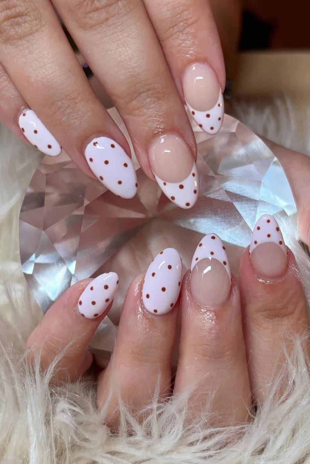 Short Oval White Brown Dot French, Glossy Short Oval White Brown Dot French, Glossy — Classy Polka Dot Nails French