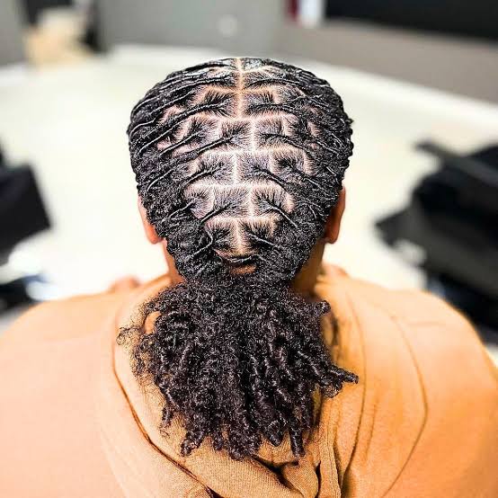 Mid-Back Locs Ponytail With Geometric Sections Mid-Back Locs Ponytail With Geometric Sections — Classy Retwist Locs