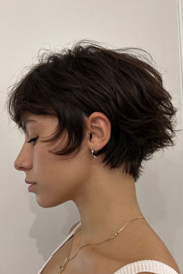 Textured Ear Length Shag With Side Swept Bangs Textured Ear Length Shag With Side Swept Bangs — Classy Short Shaggy Haircut