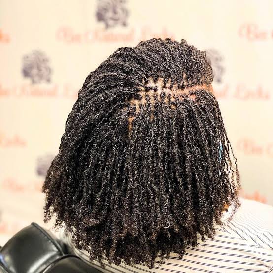 Shoulder Micro Locs Loose Curls With Honey Blonde Highlights Shoulder Micro Locs Loose Curls With Honey Blonde Highlights — Classy Sister Locs