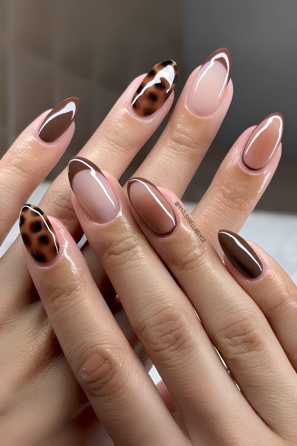 Medium Almond French Tortoise Shell With Gold, Glossy — Classy Tortoise Shell Nails
