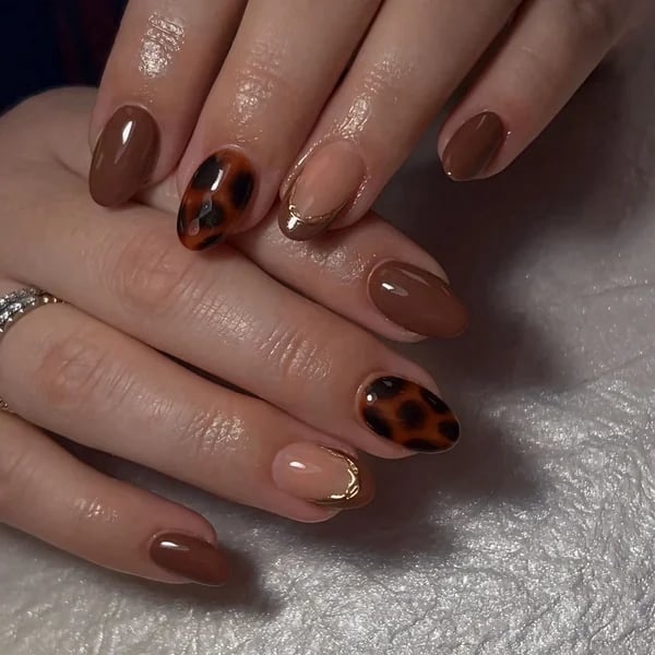 Long Stiletto Clear Base Tortoise French Tips — Classy Tortoise Shell Nails