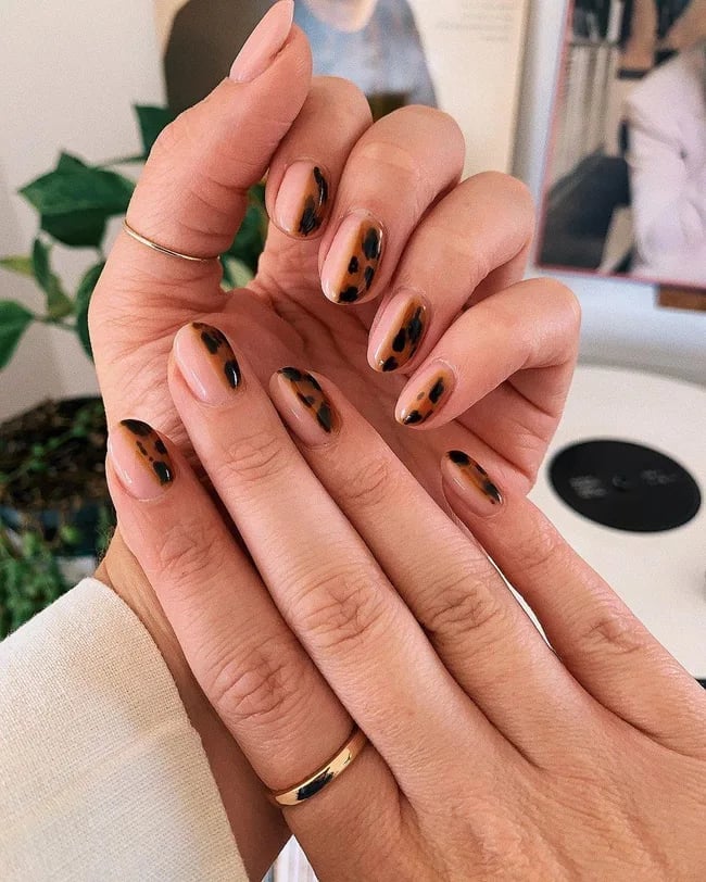 Medium Oval Nails With Glossy Tortoise Shell — Classy Tortoise Shell Nails