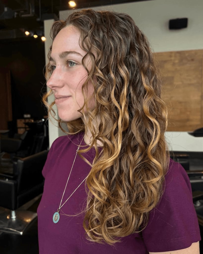Mid-Back Medium Brown With Blonde Highlights Mid-Back Medium Brown With Blonde Highlights — Curly Hair Color Inspiration