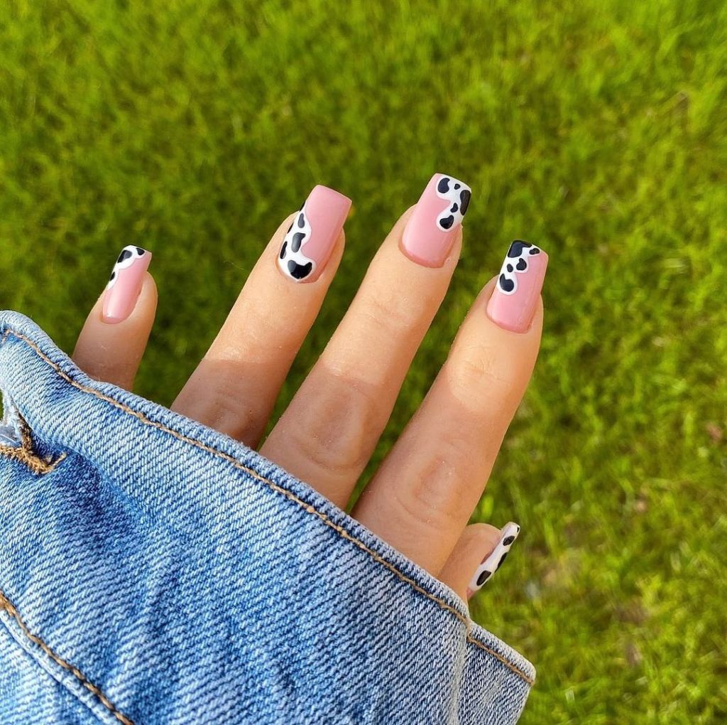 Medium Square Nails With Pink Base And Cow Print — Easy Western Nails