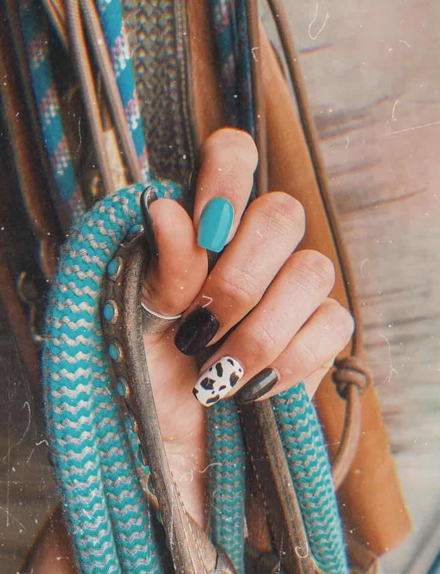 Medium Oval Nails With Turquoise And Cow Print Accent — Easy Western Nails