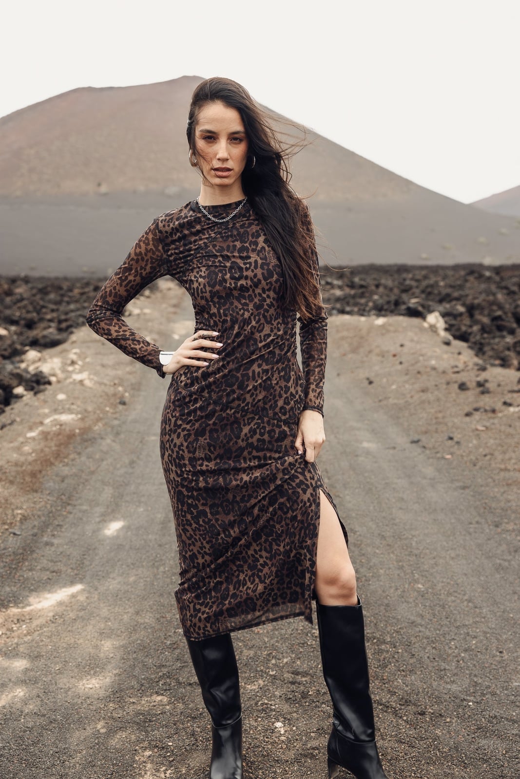 Leopard Print Mesh Midi Dress with Slit Leopard Print Mesh Midi Dress with Slit — Mesh Dress Ideas