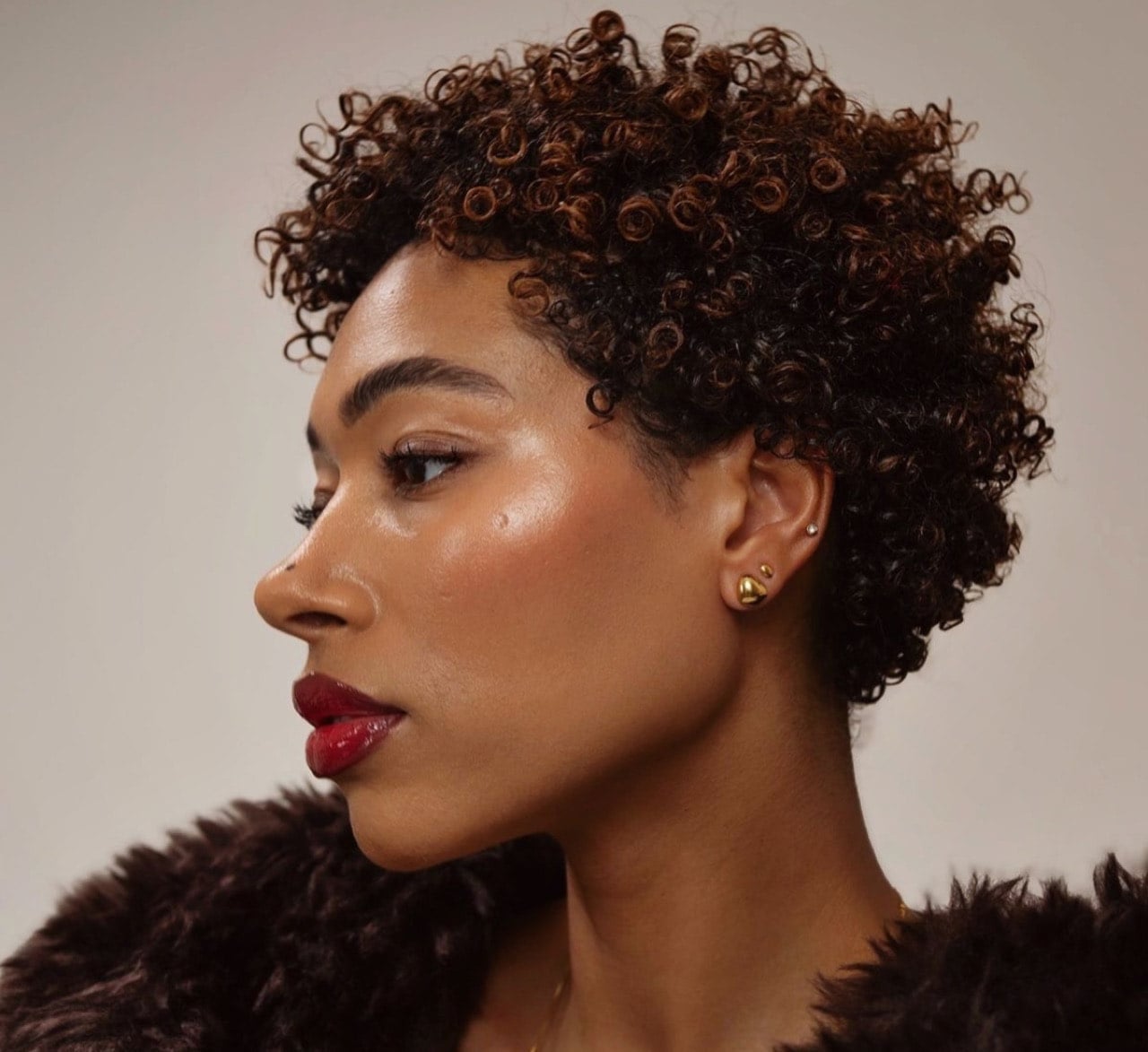 Air-Dried Afro With Warm Highlights — Natural Hair Black Women Styles