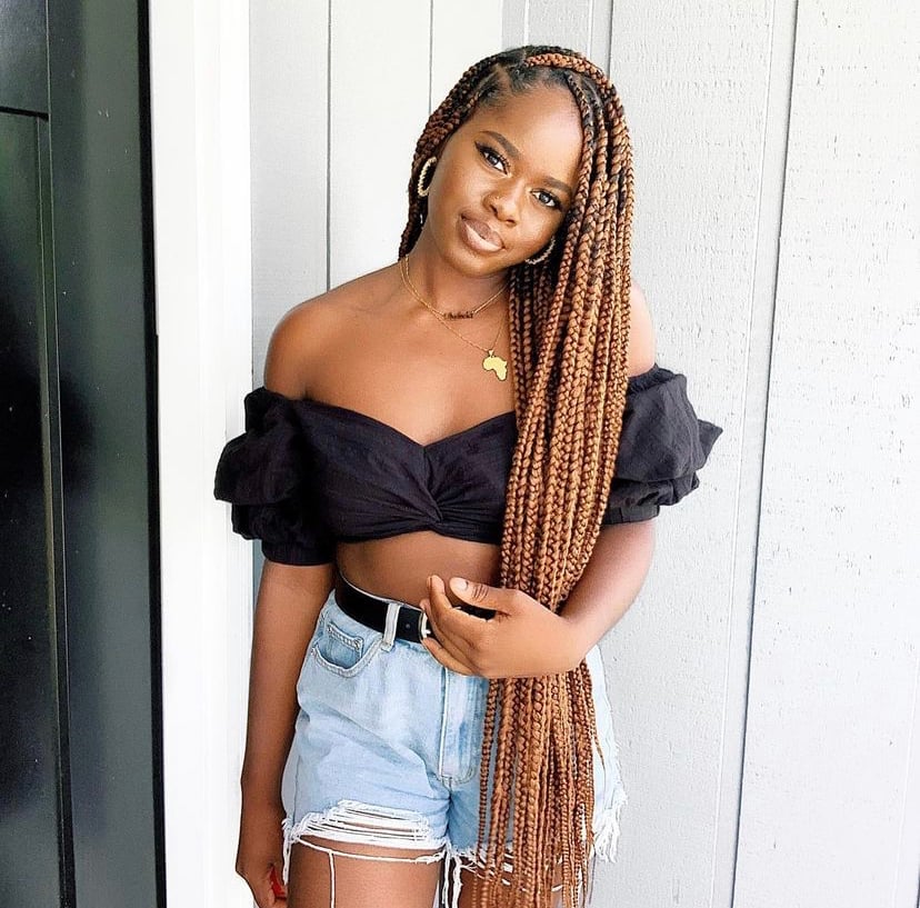Mid-Back Box Braids With Blonde Highlights — Natural Hair Black Women Styles