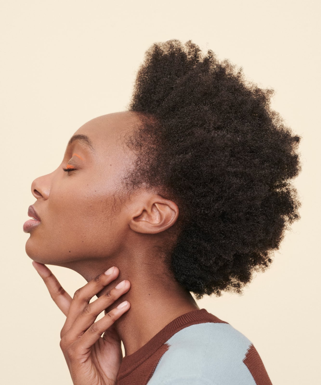 Voluminous Upward Styled Afro — Natural Hair Ideas