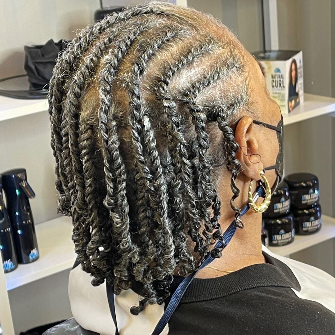 Shoulder Length Grey and Black Twists — Natural Hair Ideas