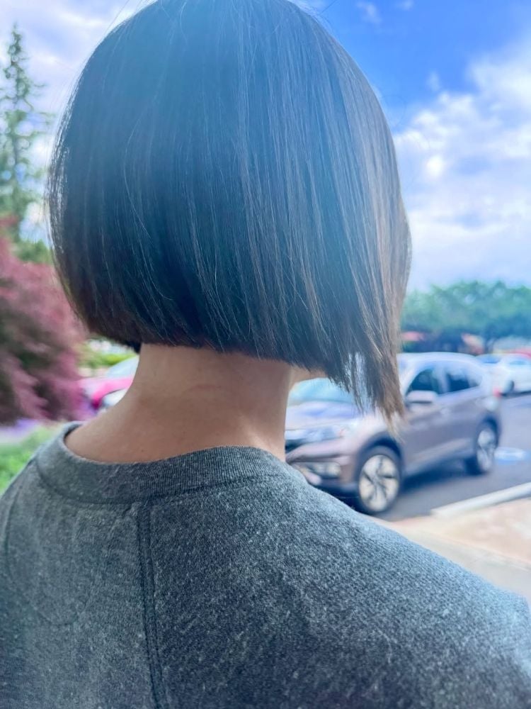 Back View Chin Length Bob Back View Chin Length Bob — Simple Blunt Bob