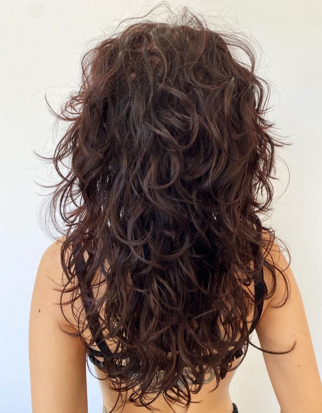 Back View Mid-Back Curly Shag — Simple Curly Shag