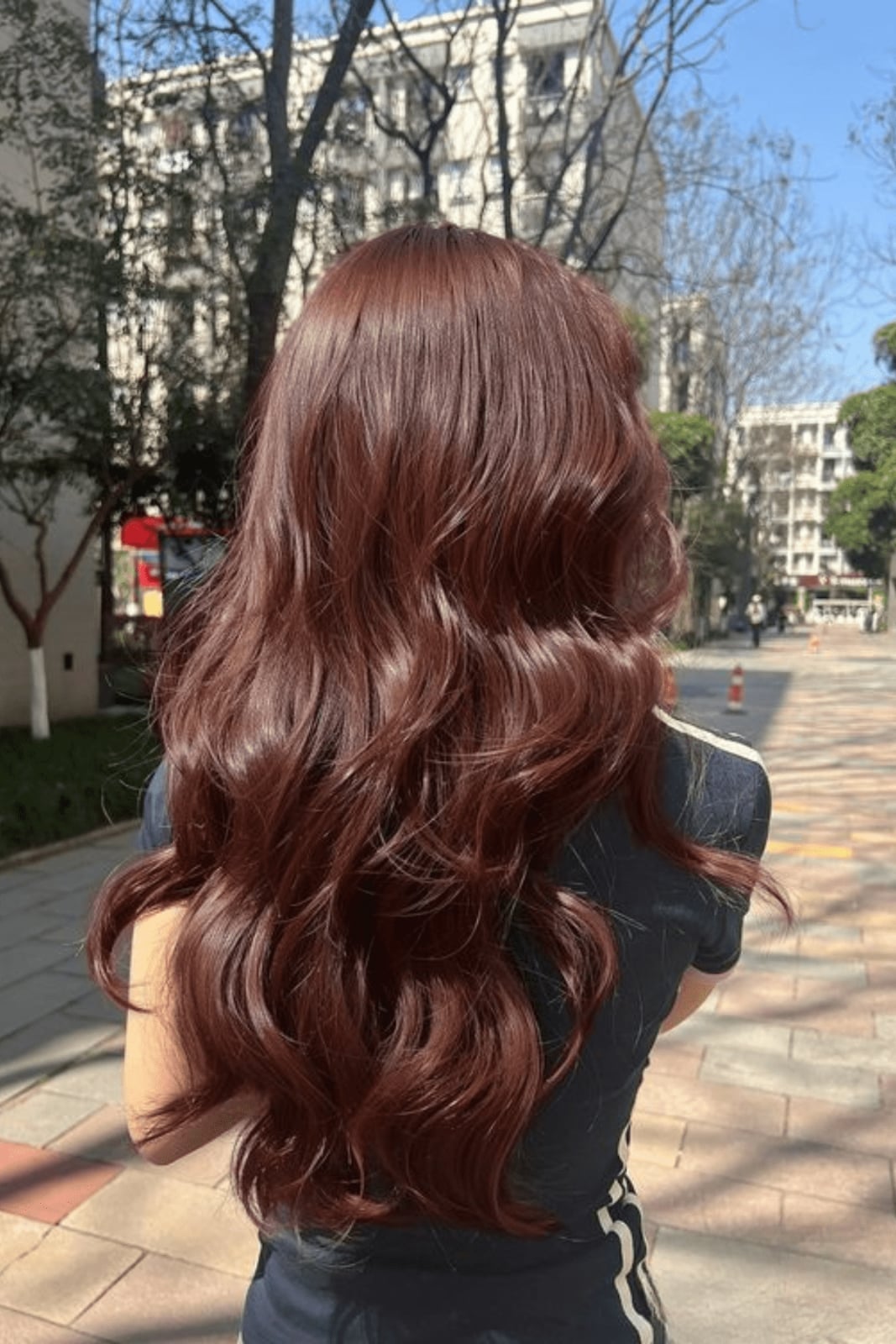 Mid-Back Dark Auburn With Lighter Highlights Mid-Back Dark Auburn With Lighter Highlights — Simple Dark Auburn Hair