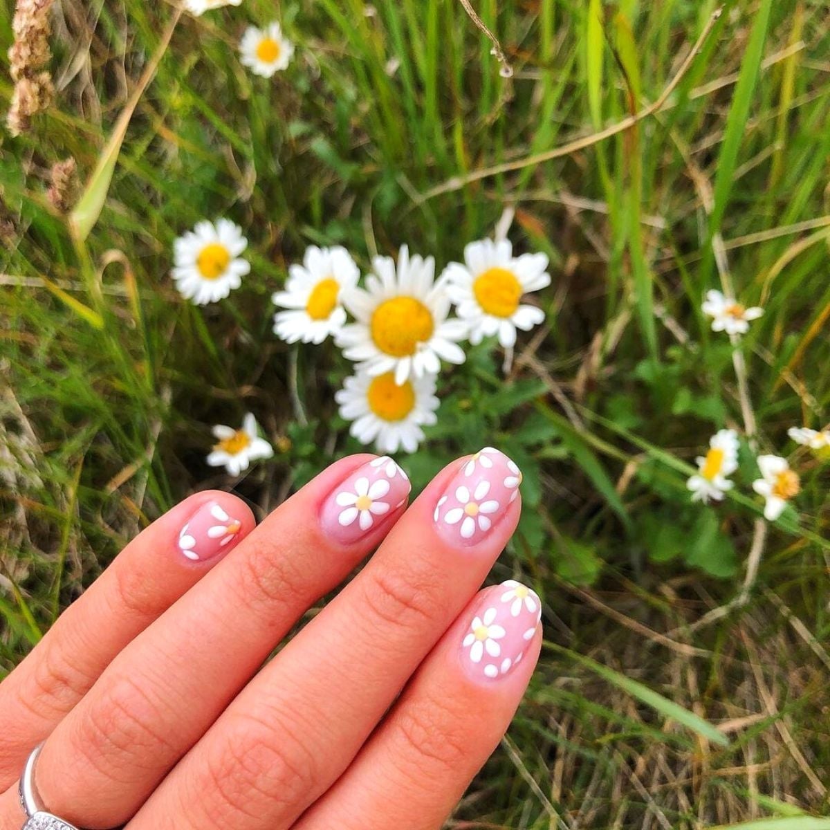 Medium Oval Nails With White Daisy Flowers Medium Oval Nails With White Daisy Flowers — Simple Flower Nails