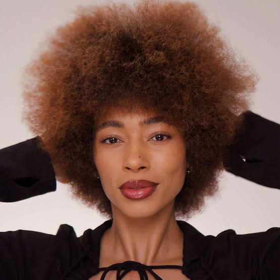 Natural Medium Brown Afro Natural Medium Brown Afro — Simple Haircuts for Black Women