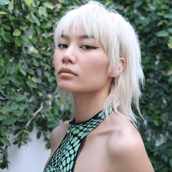 Platinum Blonde Shag Mullet With Curtain Bangs Platinum Blonde Shag Mullet With Curtain Bangs — Simple Mullet Hairstyles