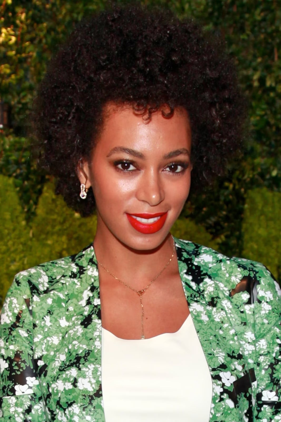 Shoulder Length Voluminous Afro With Air Dried Shoulder Length Voluminous Afro With Air Dried — Simple Natural Hair Hairstyles
