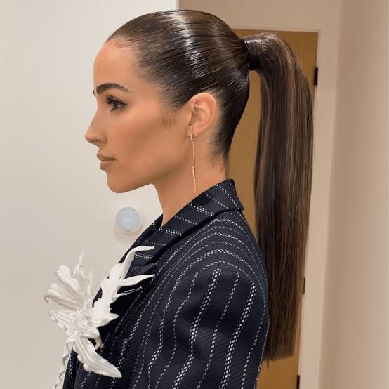 High Dark Brown Ponytail With Subtle Highlights High Dark Brown Ponytail With Subtle Highlights — Simple Pony Hairstyles