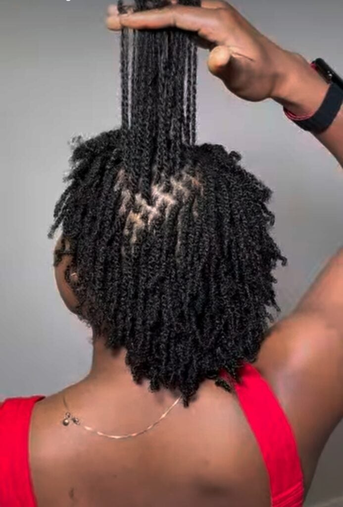 Short Fine Coily Starter Locs Back View Short Fine Coily Starter Locs Back View — Simple Starter Locs