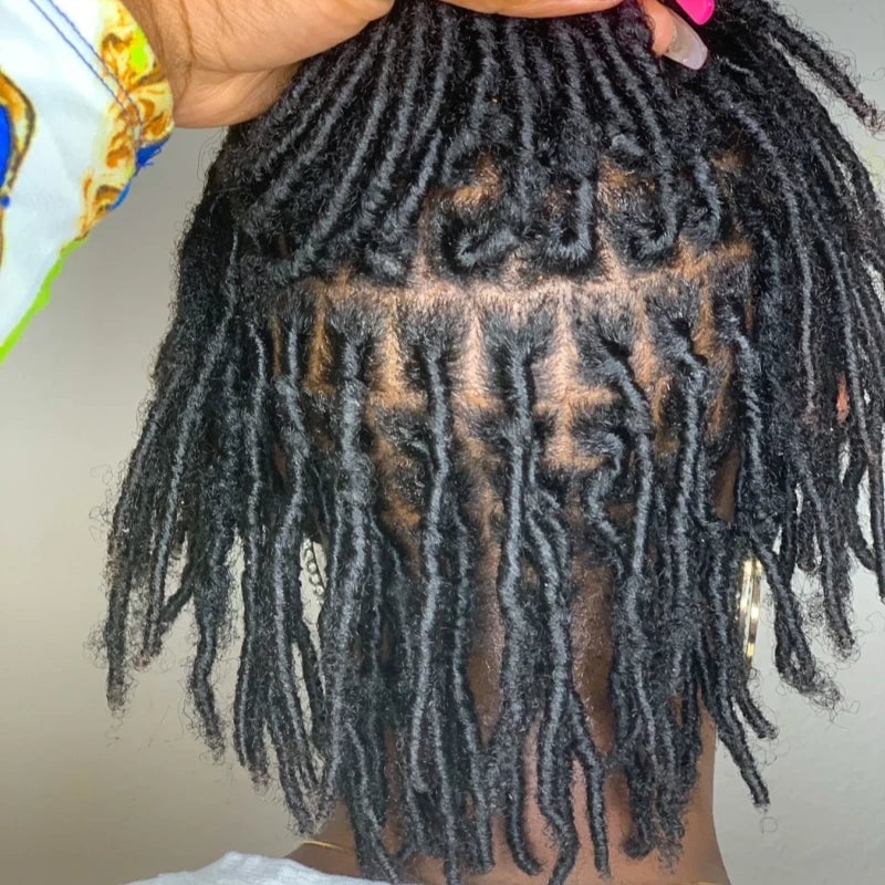 Thick Shoulder Length Locs Back View Thick Shoulder Length Locs Back View — Simple Starter Locs