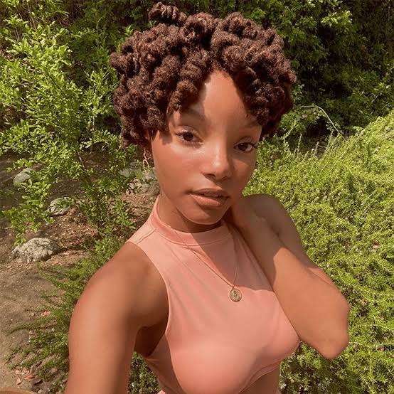 Voluminous Short Dark Brown Locs Voluminous Short Dark Brown Locs — Simple Starter Locs