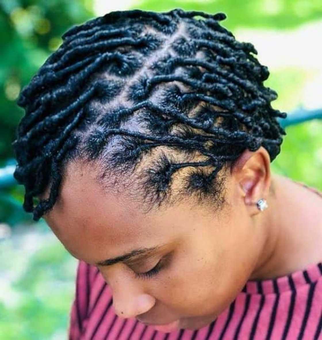 Ear Length Coily Starter Locs Ear Length Coily Starter Locs — Simple Starter Locs