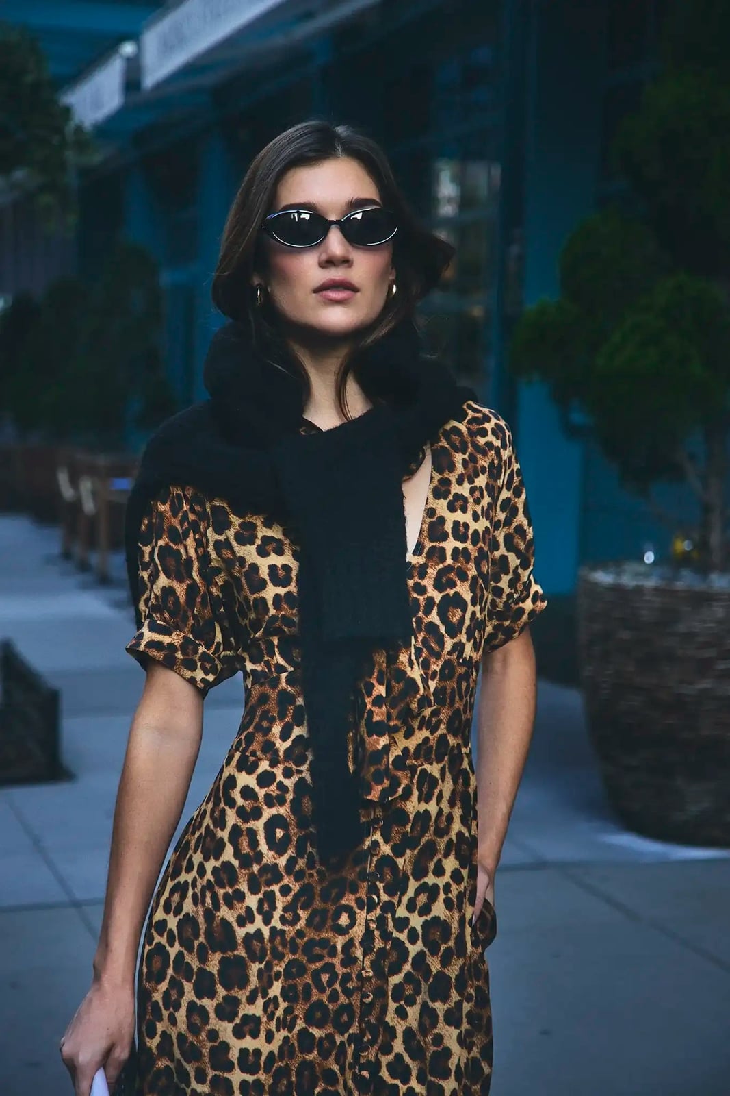 Short Sleeve Leopard Midi Dress With Black Scarf — Trendy Leopard Dress