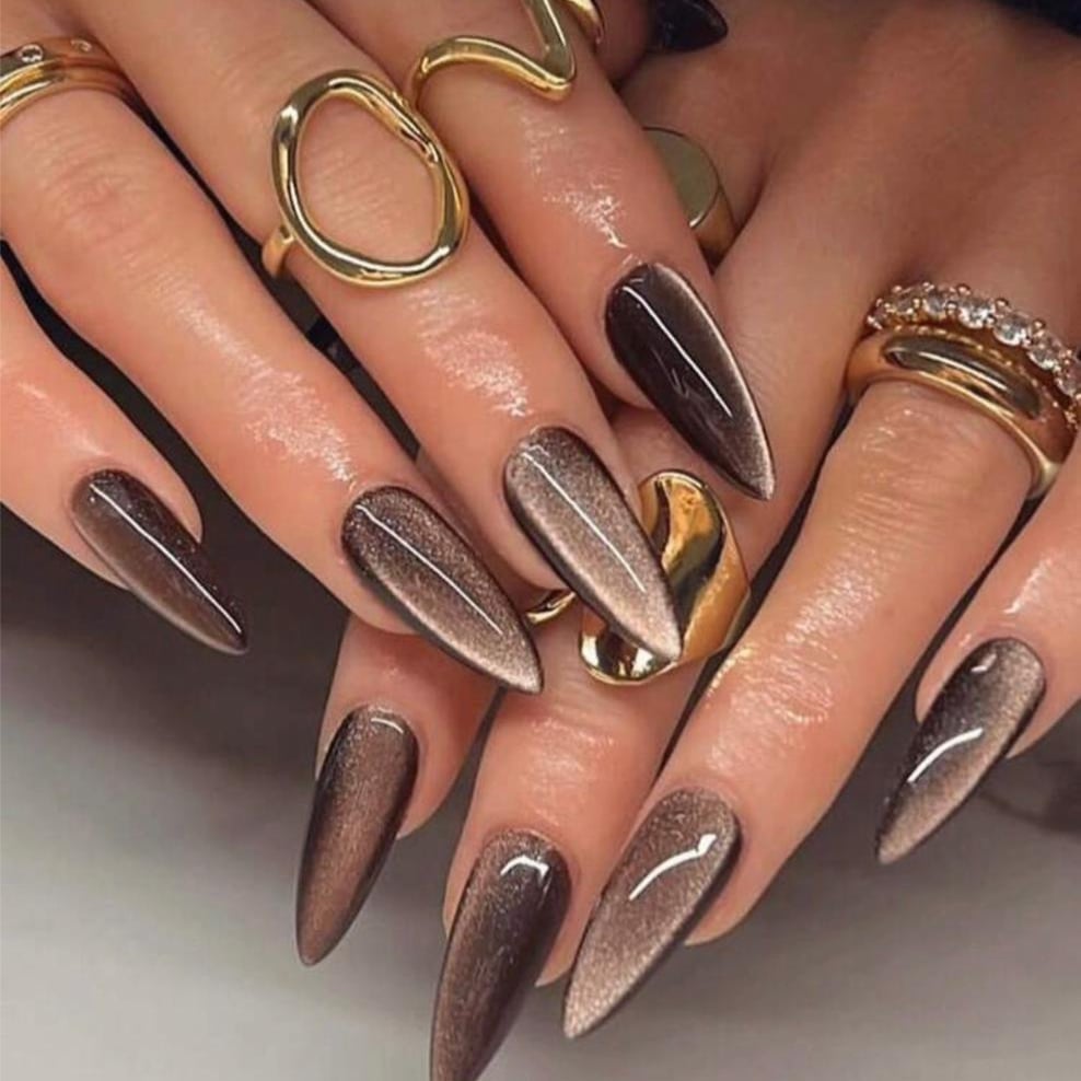 Brown Grey Chrome Cat-Eye Stiletto Nails — Trendy Mocha Nails