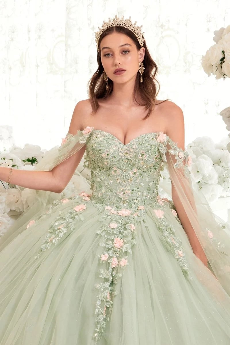 Pale Green Ballgown with Floral Appliques and Sheer Capelet Sleeves — Trendy Quince Dress