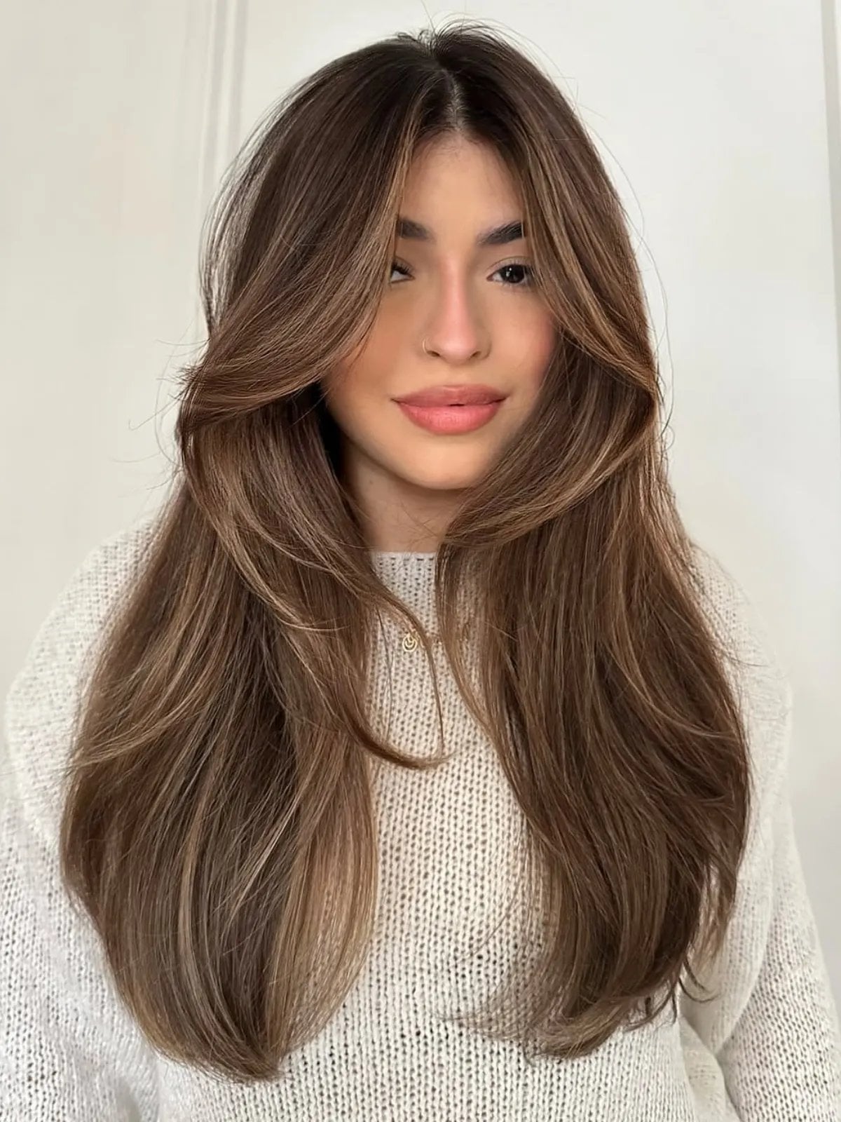Mid-Back With Lighter Brown Highlights Mid-Back With Lighter Brown Highlights — Trendy Rich Brunette